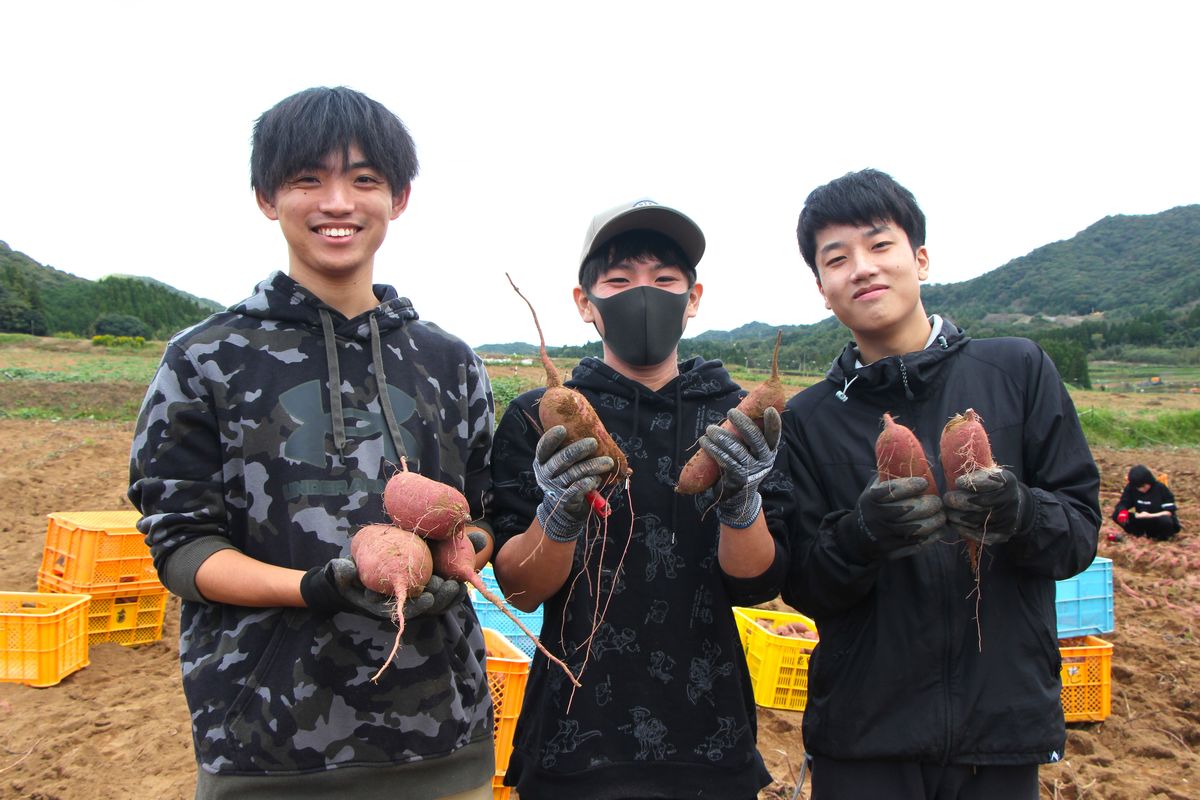 「甘太くん」秋の収穫を手伝ってきました／【通信制高校サポート校　未来学園便り②：甘太くん収穫体験（職場体験）】 